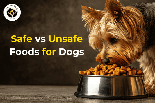 Dog Food: What’s Safe and What’s Not?
