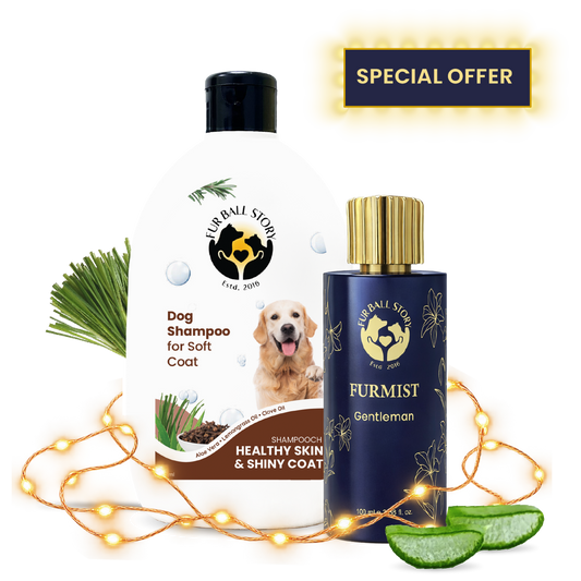Diwali Glow-Up Kit