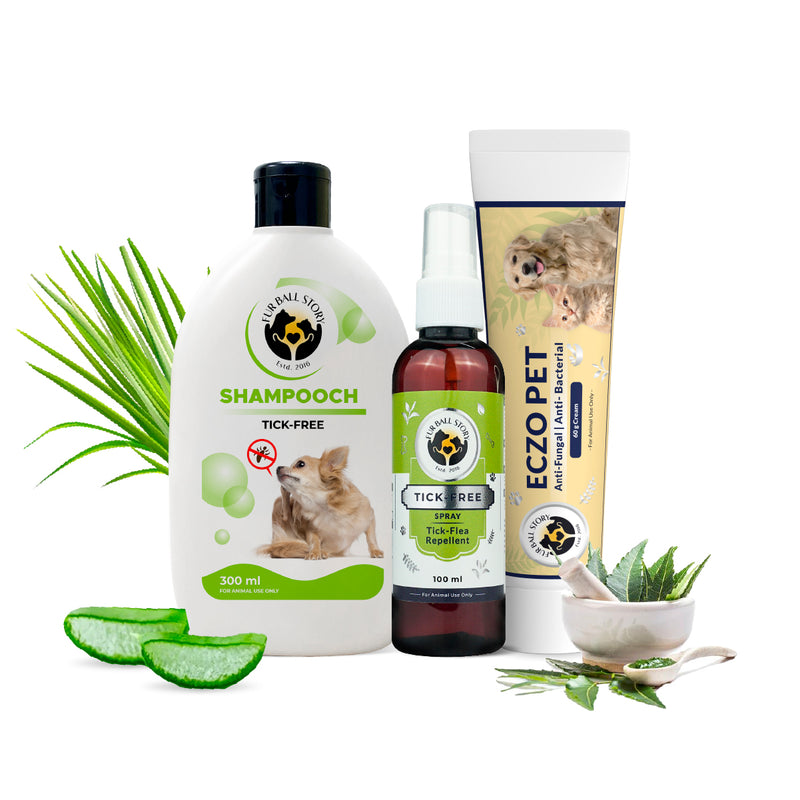 Rainy Essentials Kit