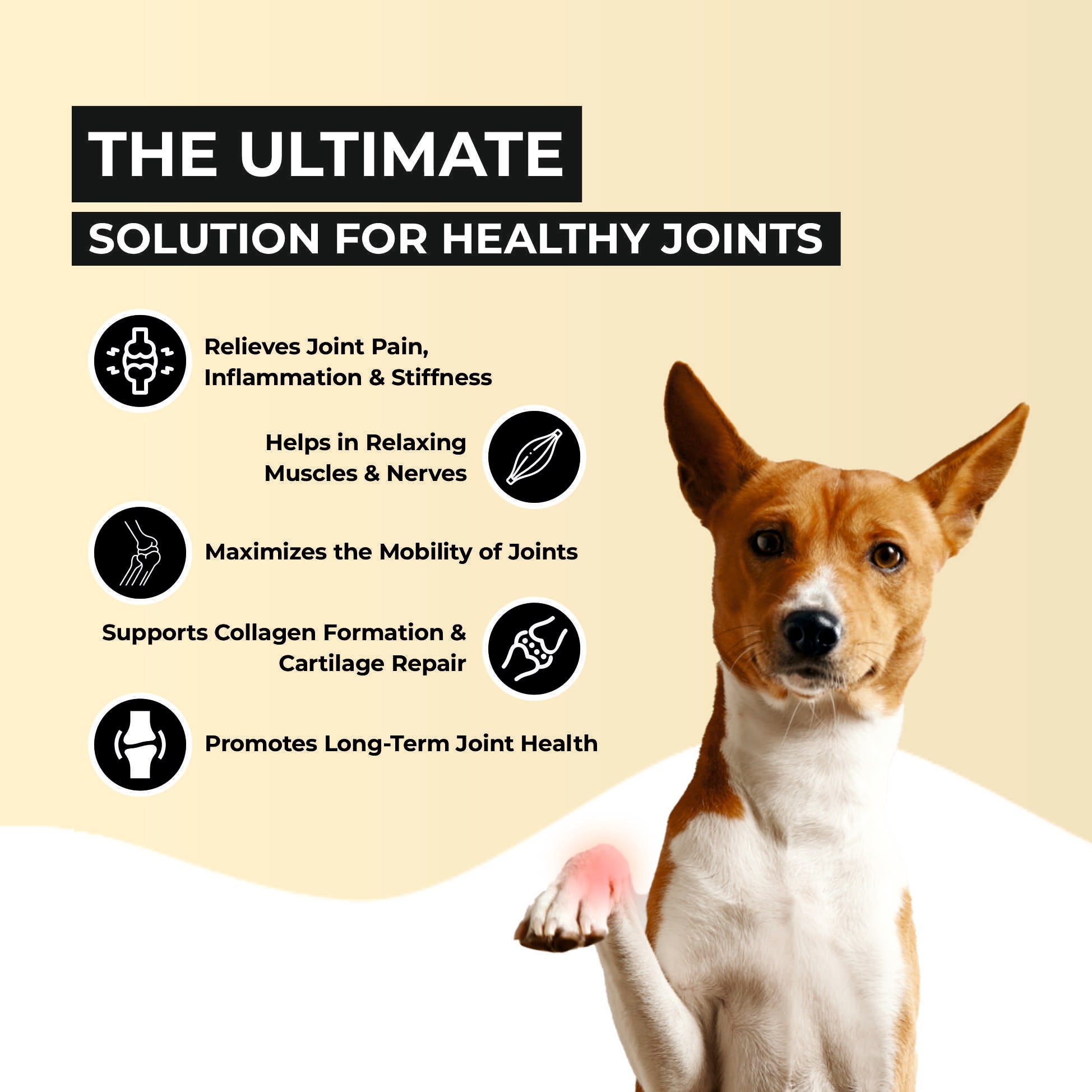 joint oil for dogs & cats