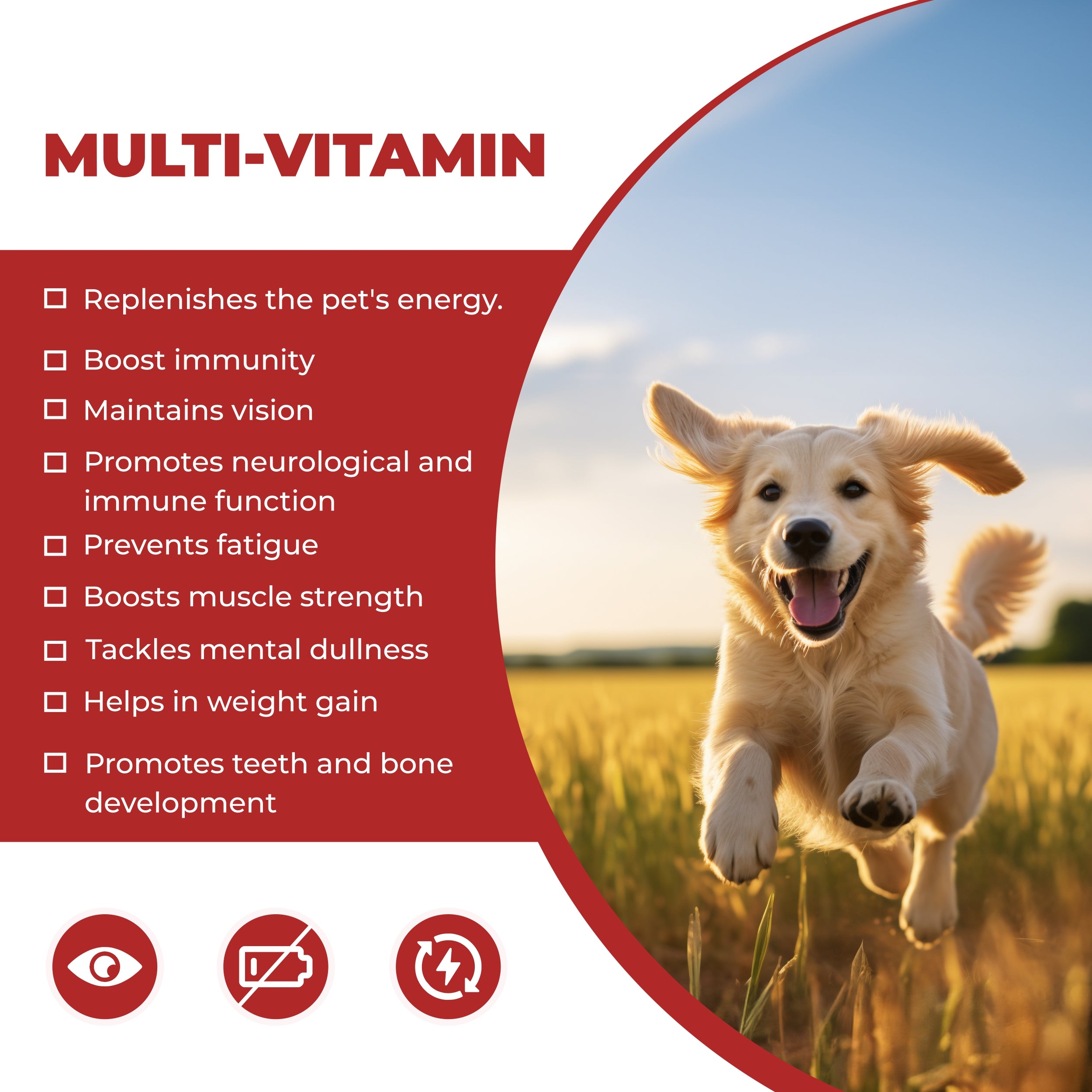 Canine vitamin supplement