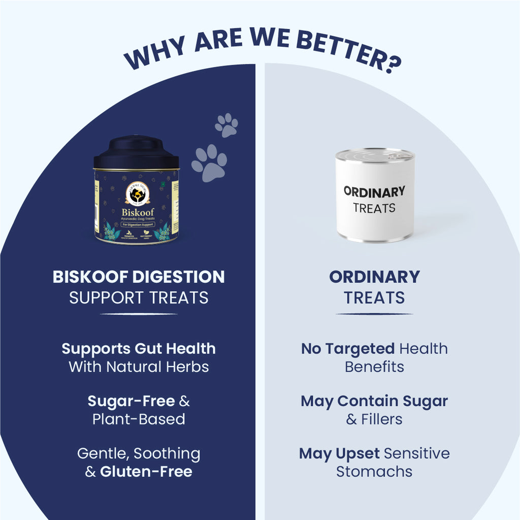 Biskoof - Digestion Support | India's Healthiest Treats for Dogs - 150 Gm