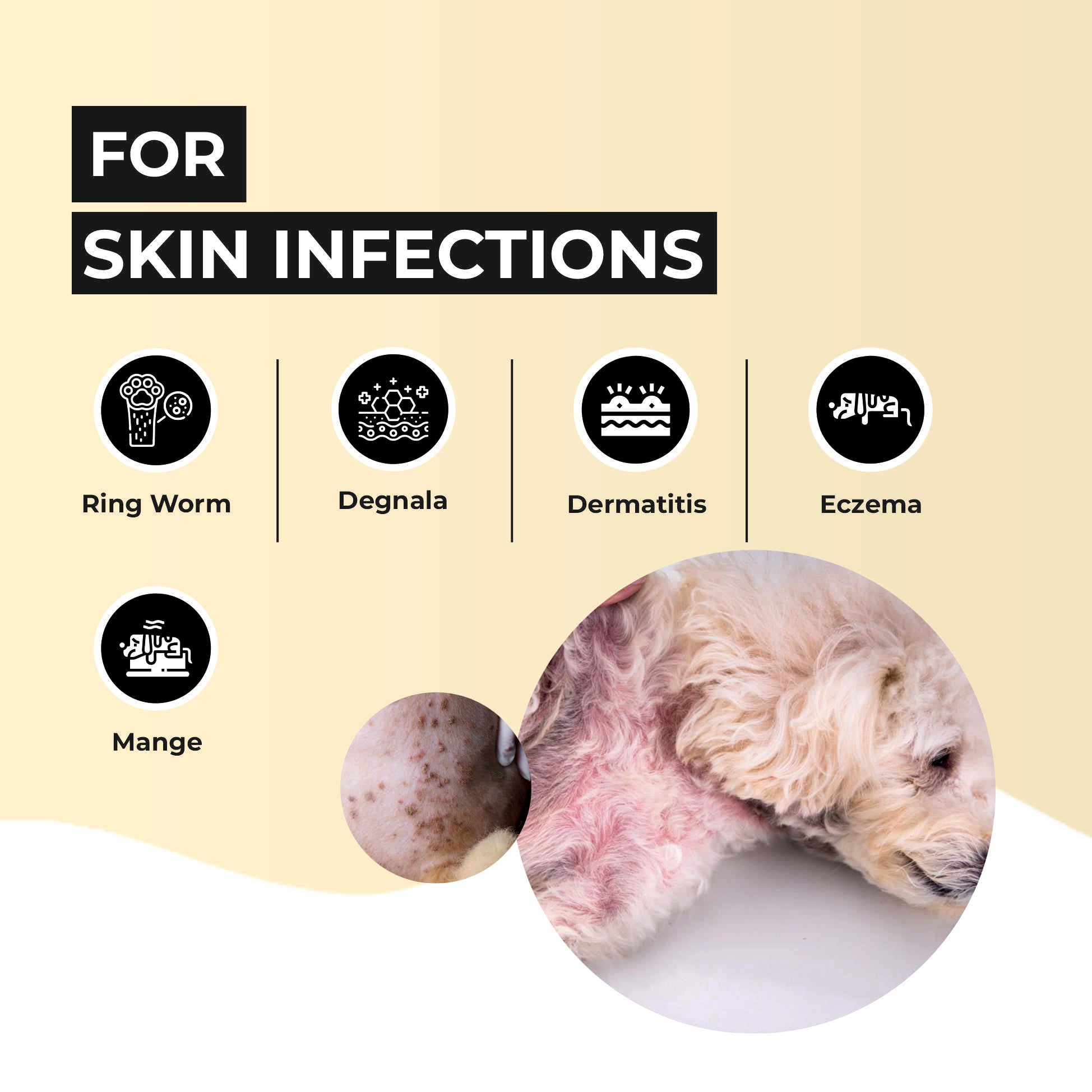 dog skin infection medicine