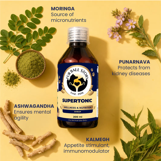 Dog Energy Supplement, Dog Vitality Supplement, Dog Daily Wellness Supplement, Dog Gut Health Supplement