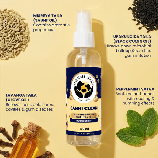 Cat Oral Care Spray, Dog Dental Care, Cat Dental Care, Dog Teeth Cleaning Spray, Cat Teeth Cleaning Spray, Dog Mouth Spray, Cat Mouth Spray, Dog Breath Freshener