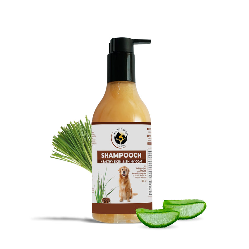 Shampooch: Best Dog Shampoo For Healthy Skin & Shiny Coat - 300ml