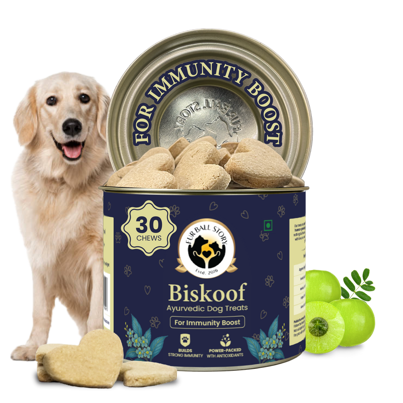 Biskoof - Immunity Boost | India's Healthiest Treats for Dogs - 150 Gm