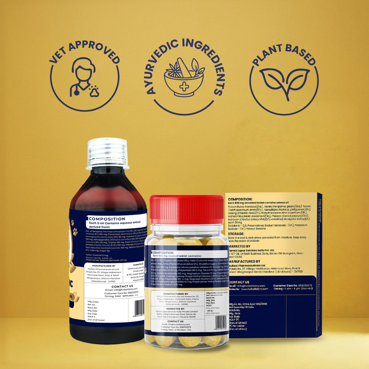 Diwali Wellness Kit for Dogs