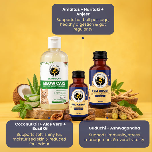 Diwali Wellness Kit for Cats