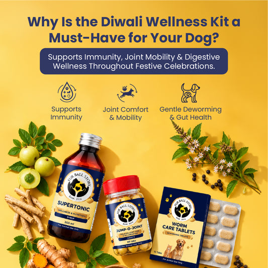 Diwali Wellness Kit for Dogs