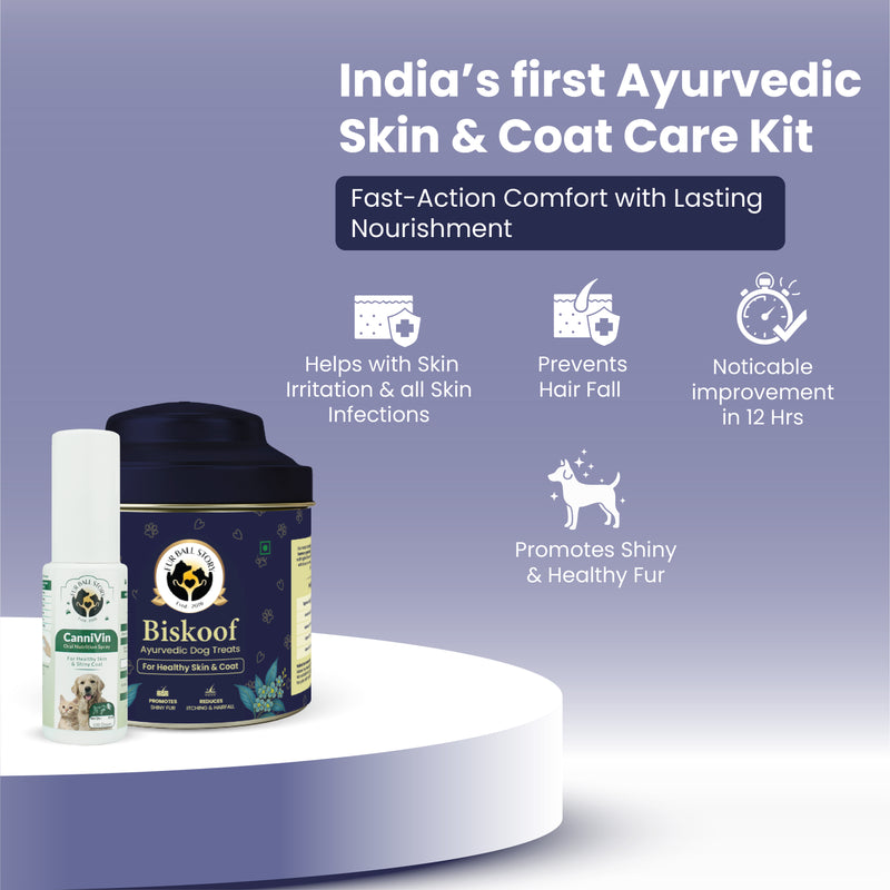 Dog Skin & Coat Kit - Biskoof Healthy Skin Treats for Dogs and CanniVin Healthy Skin & Shiny Coat Oral Spray