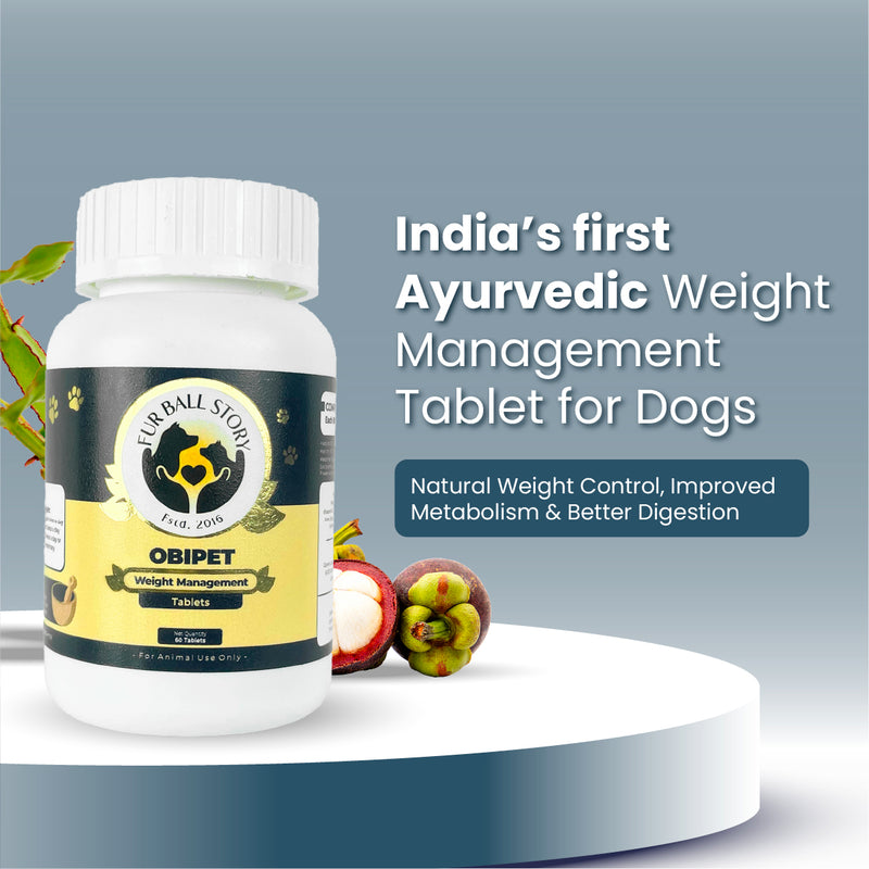 Obipet: Ayurvedic Weight Management Tablets for Dogs – 60 Tabs
