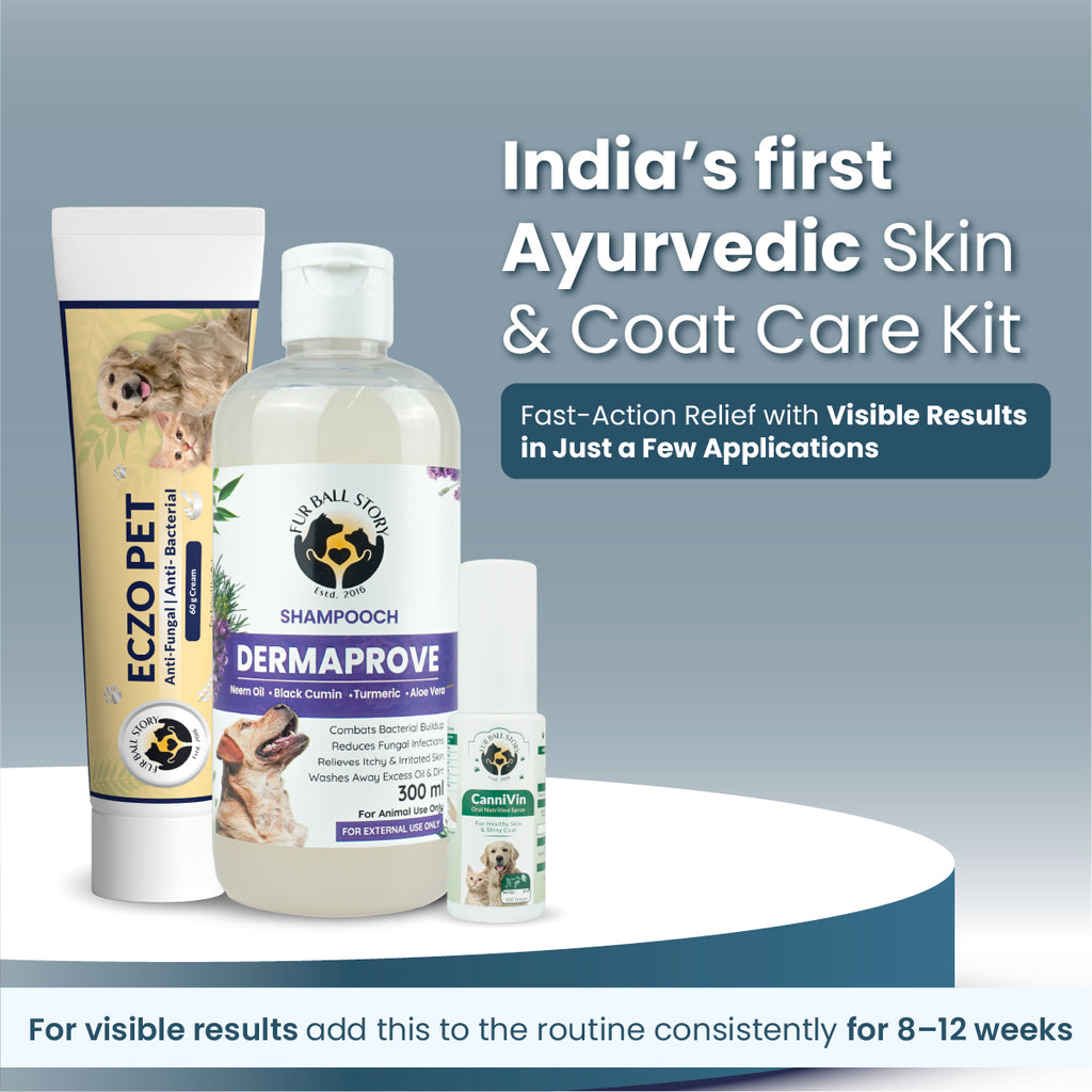 360° Skin Restoration Kit for Pets