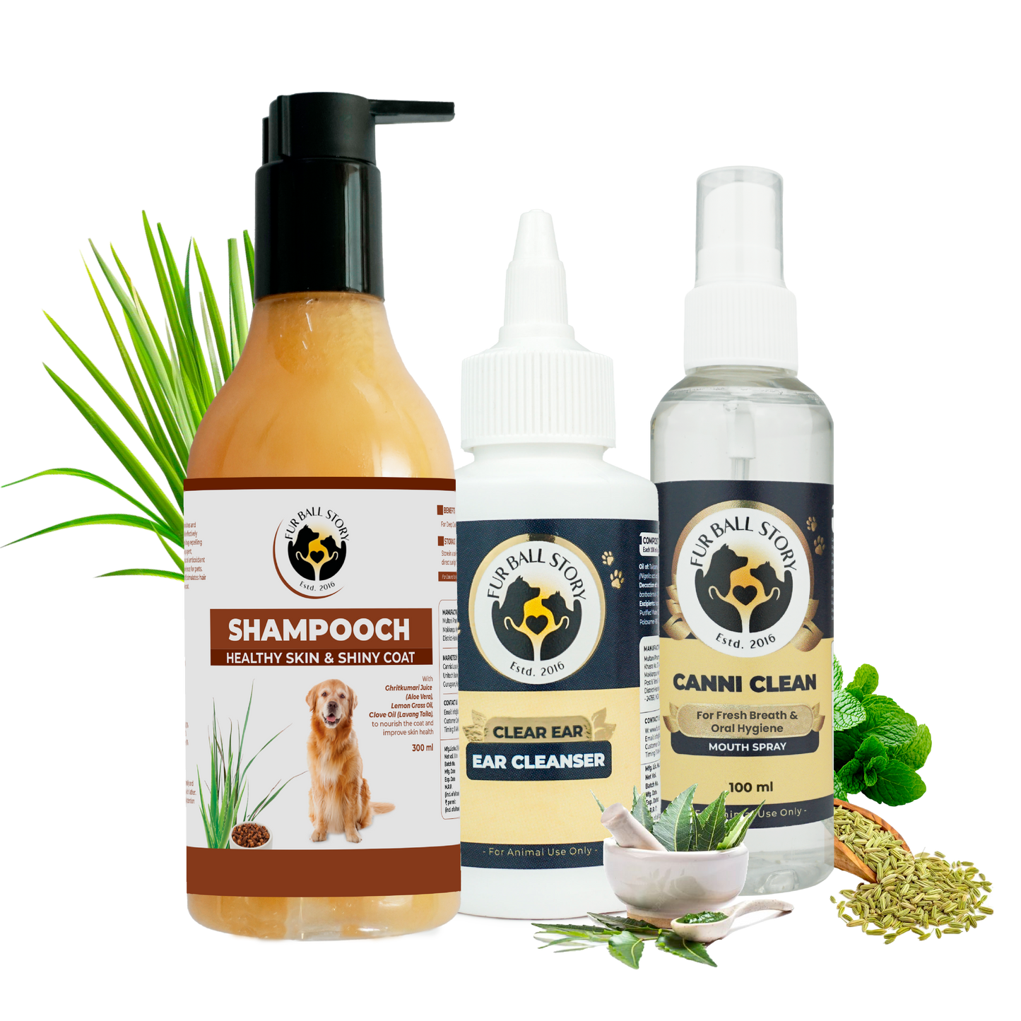 Clear Ear: Natural Antiseptic Ear Drops for Dogs (50ml)