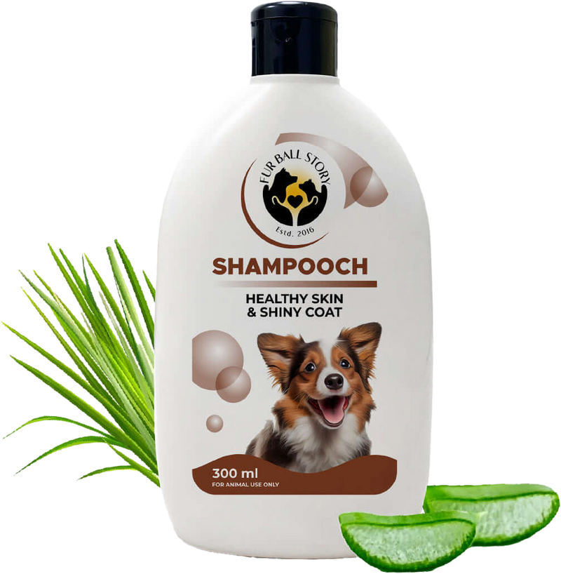 Shampooch: Best Dog Shampoo For Healthy Skin & Shiny Coat - 300ml