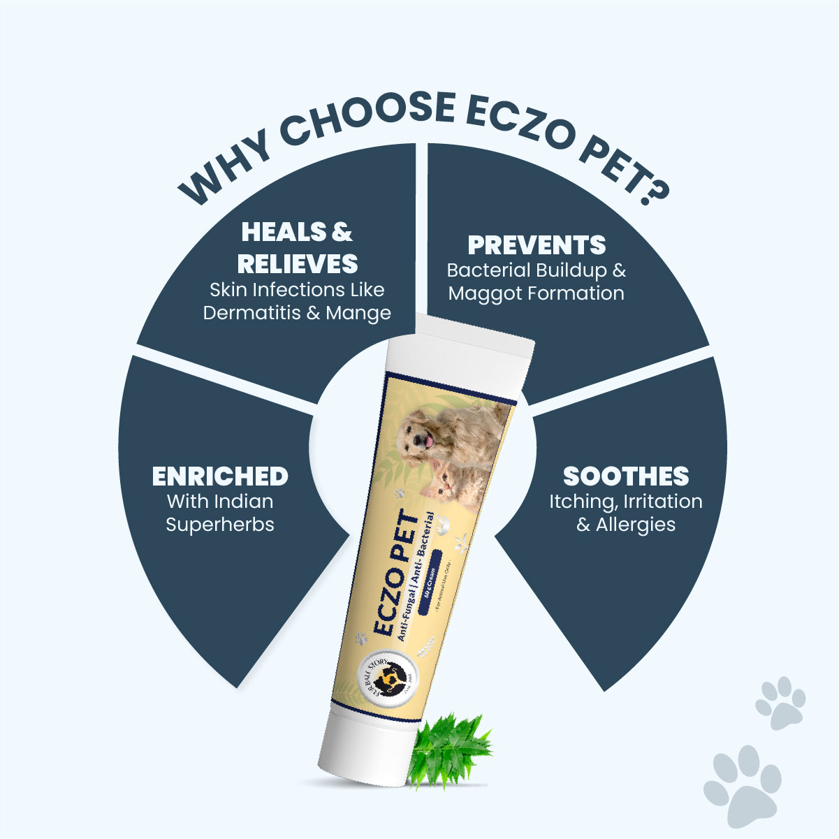 Eczo Pet Cream for Skin Infections: Visible Results in 12 Hours