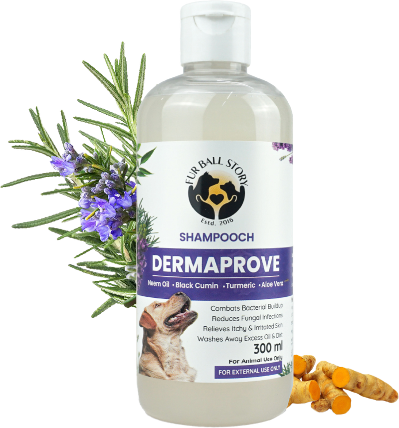 Dermaprove: Antifungal Dog Shampoo - 300ml