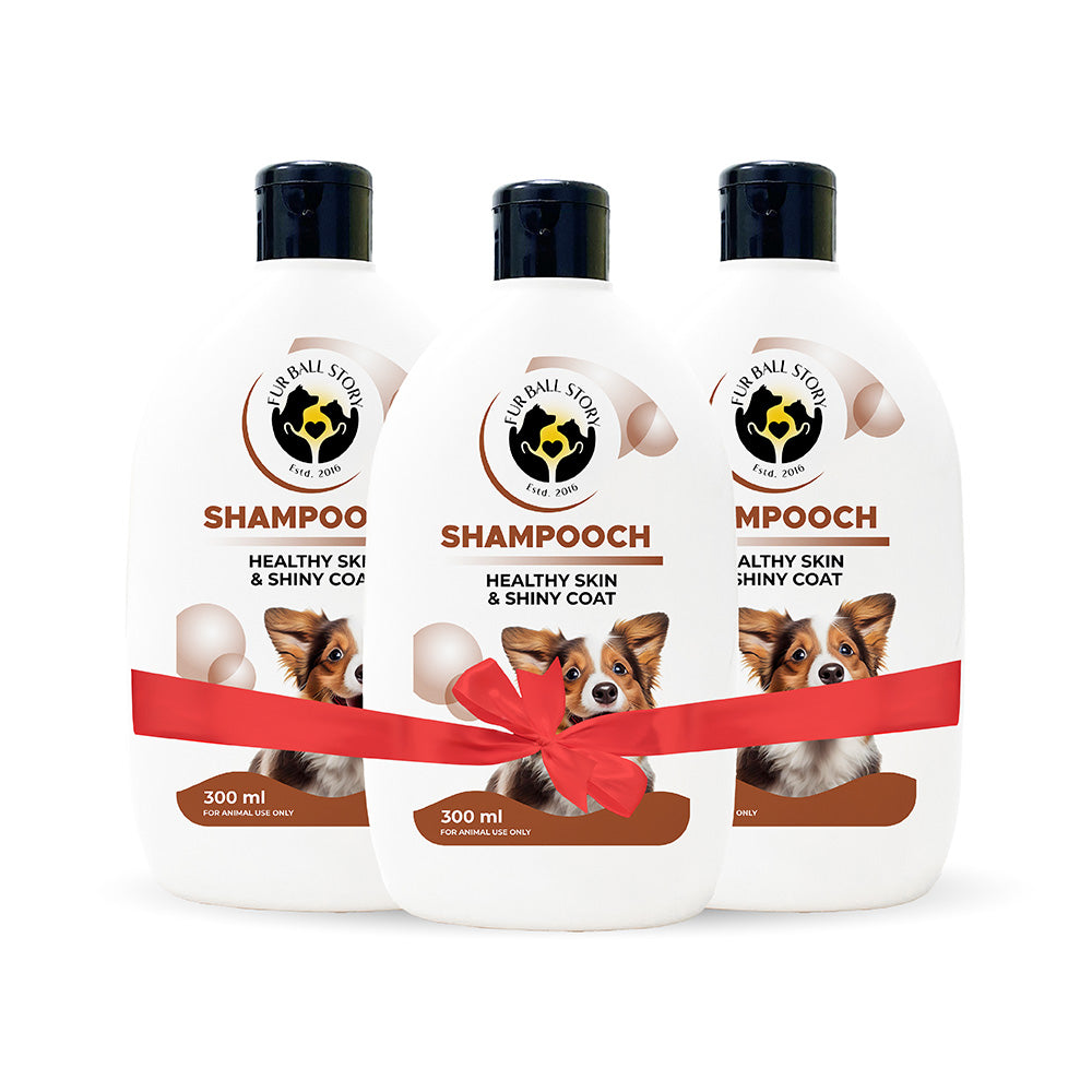 Shampooch: Best Dog Shampoo For Healthy Skin & Shiny Coat - 300ml (BUY2 GET 1 FREE)