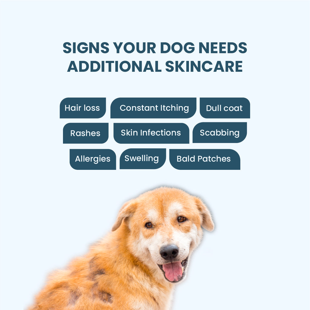 360° Skin Restoration Kit for Pets