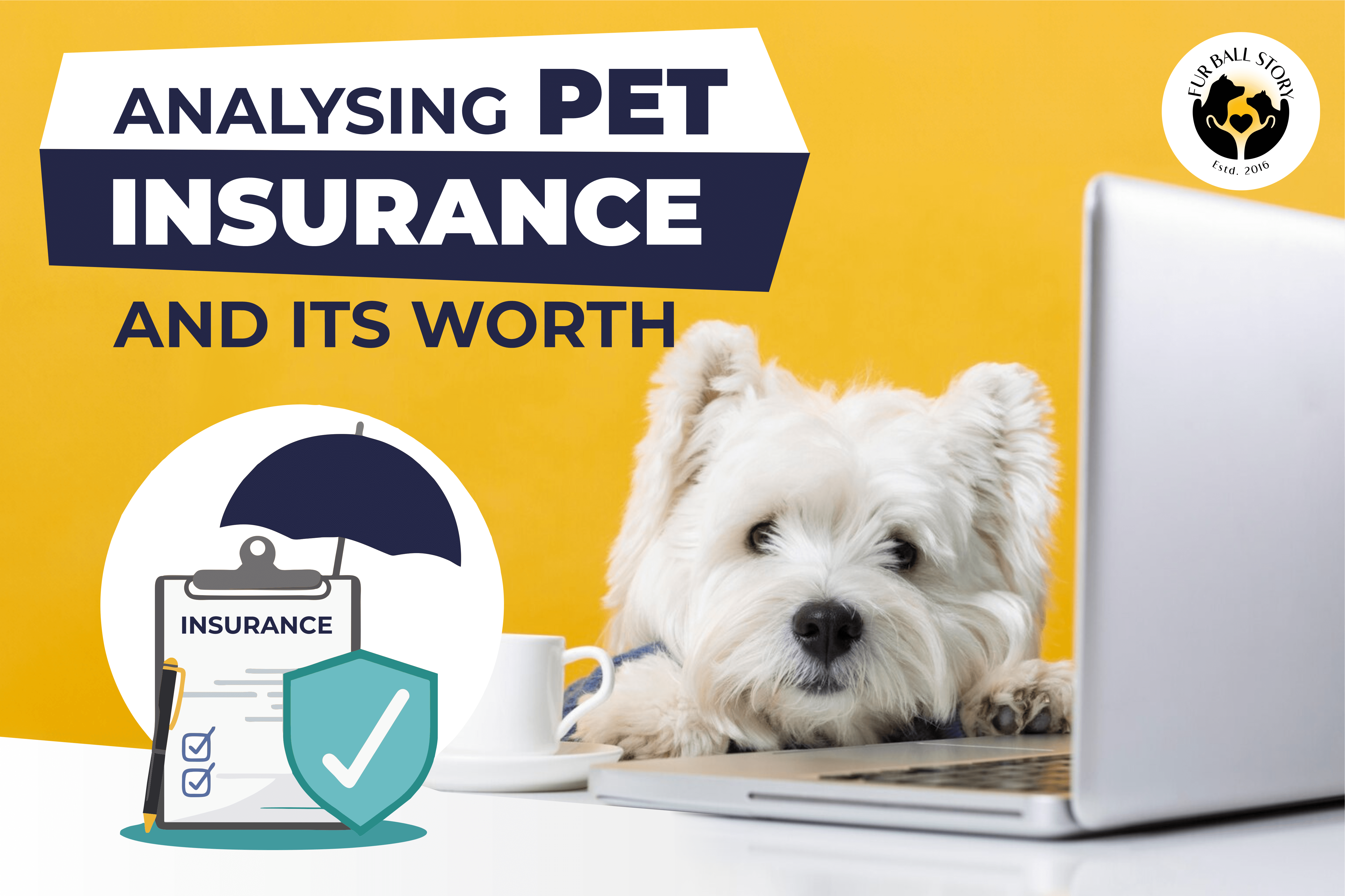 Analysing Pet Insurance and Its Worth