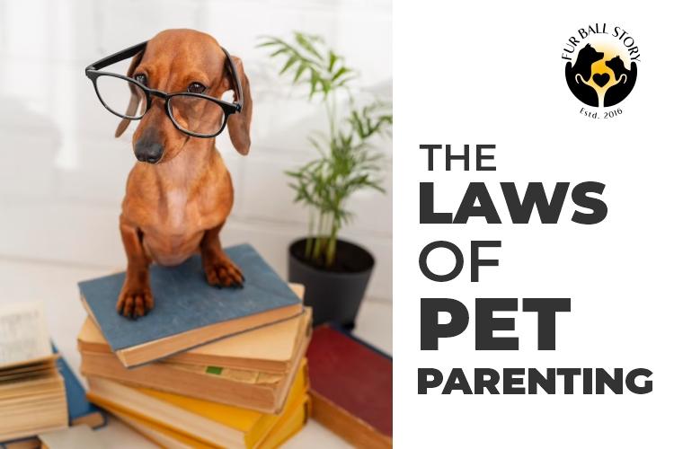 Laws of Pet Parenting