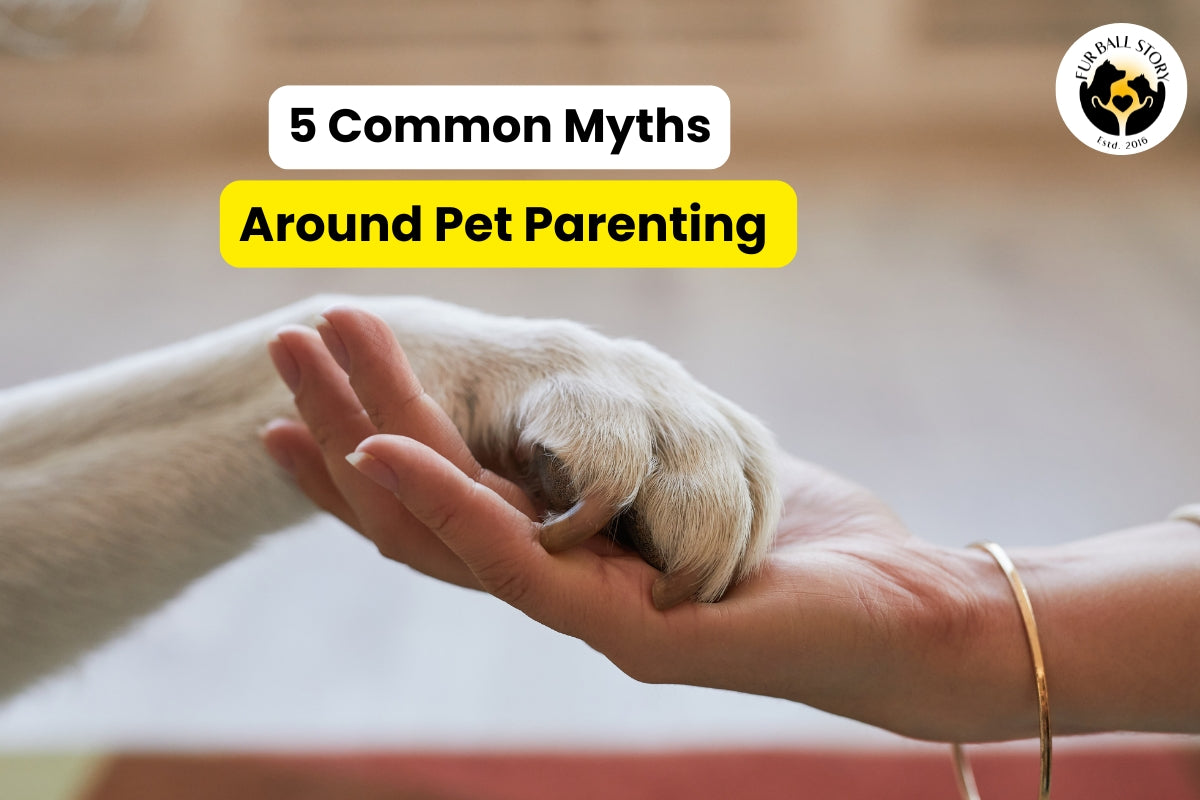 5 Common Myths Around Pet Parenting