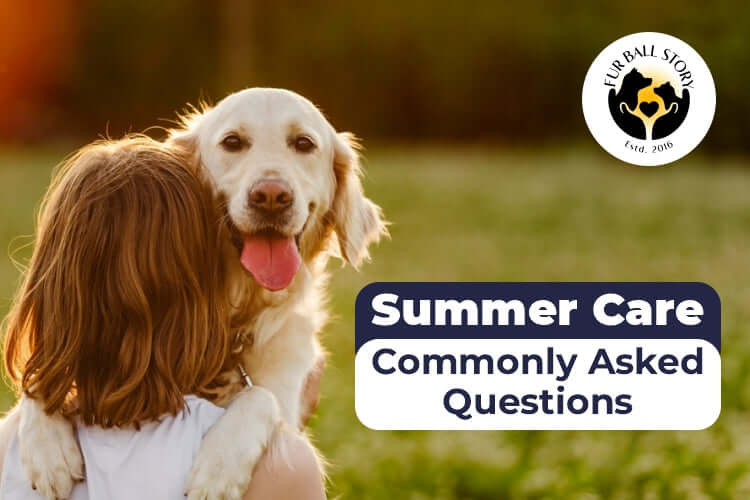 Summer Care: Addressing Common Concerns of Pet Parents