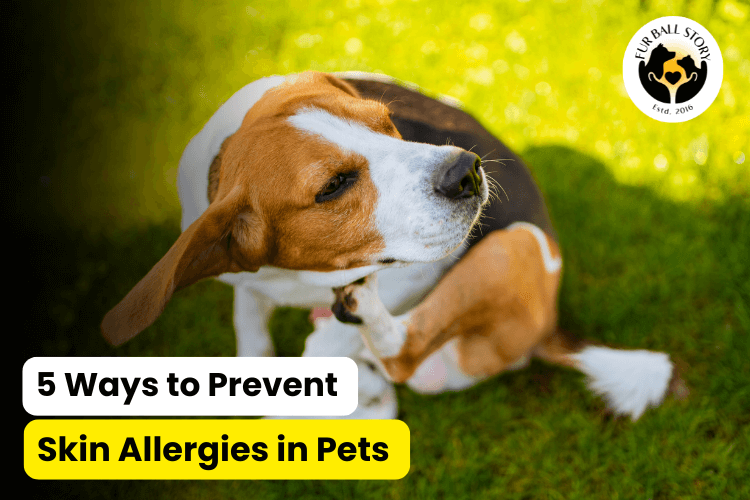 5 Ways to Prevent Skin Allergies in Pets – Tips for Healthy, Itch-Free Skin