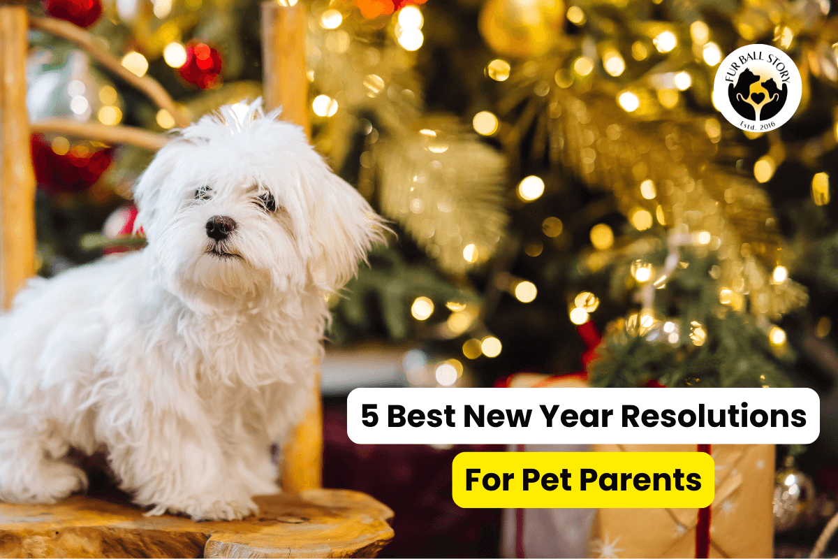 5 Best New Year Resolutions for Pet Parents – Tips for a Healthier, Happier Pet Year