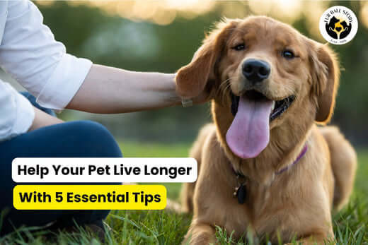 Help Your Pet Live Longer – 5 Essential Tips for a Healthier, Happier Pet