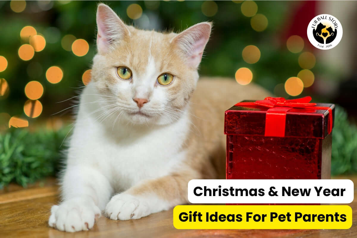 5 Useful Diwali Gift Ideas for Pet Parents