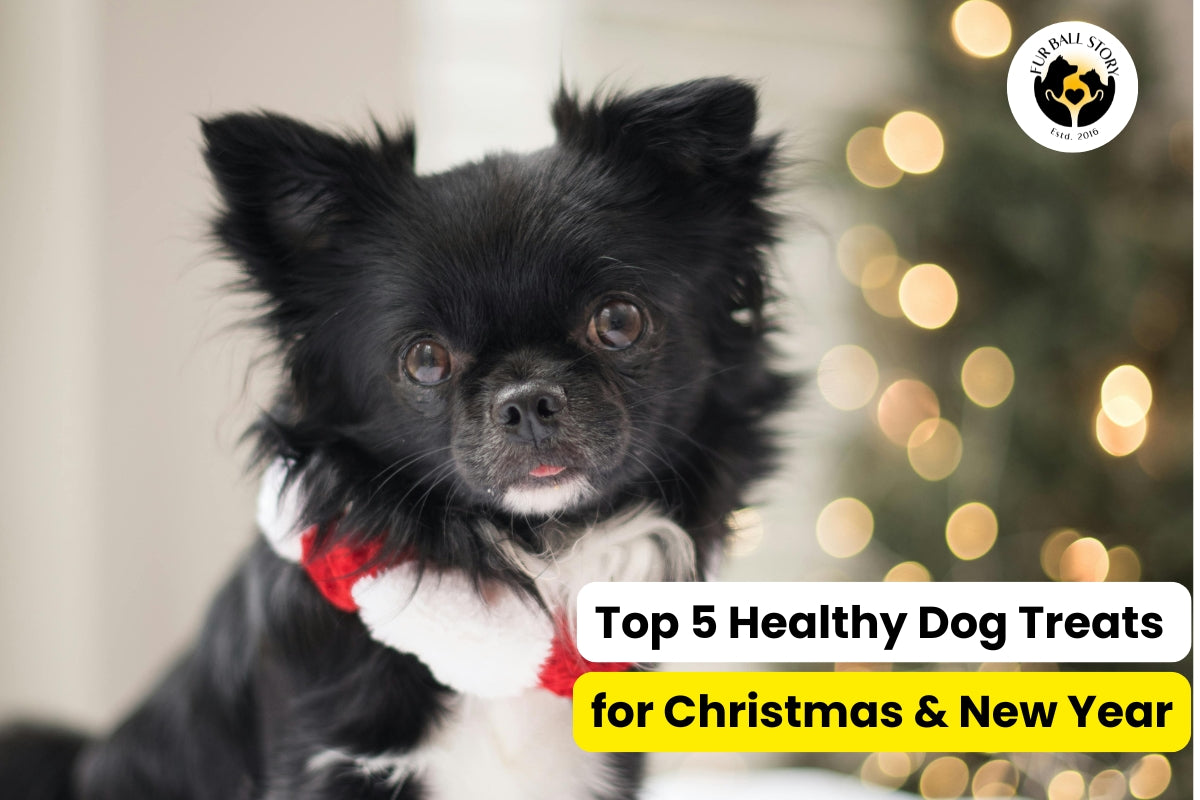 Top 5 Healthy Homemade Dog Treats for Diwali 2024