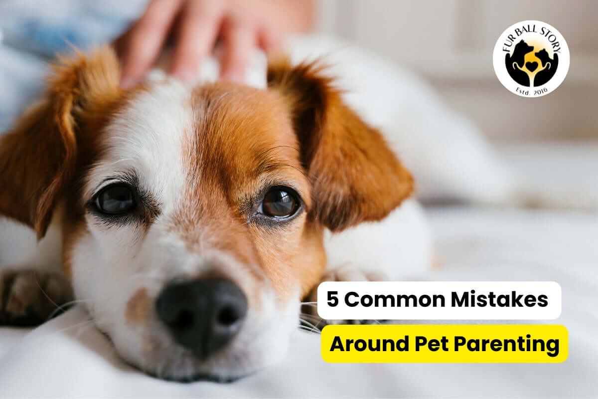 5 Common Mistakes Every Pet Parent Should Avoid