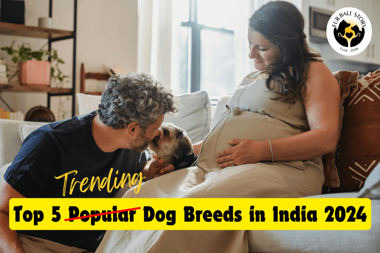 Top 5 Popular Dog Breeds in India 2024