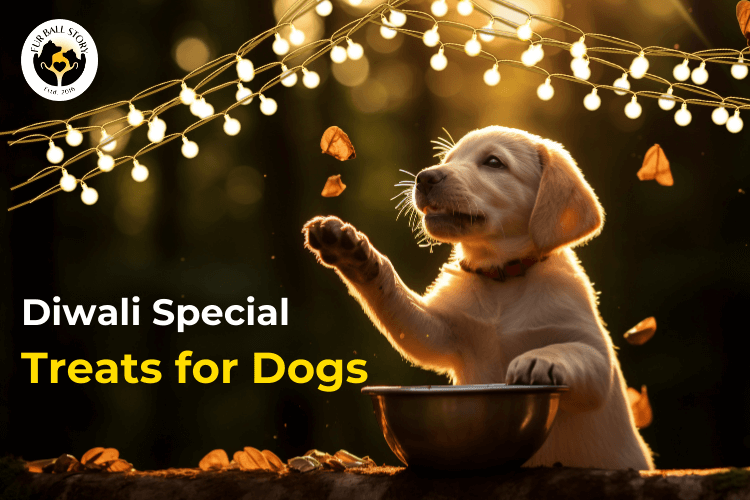 Top 5 Healthy Homemade Dog Treats for Diwali 2024