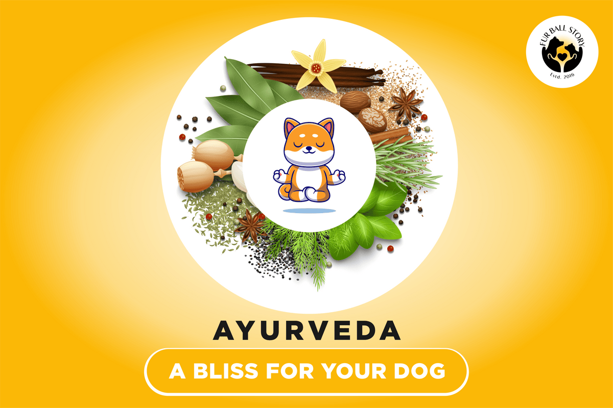 Curated visual reference: Ayurveda And Canine Health Reference: Ayurveda A Bliss For Your Dog