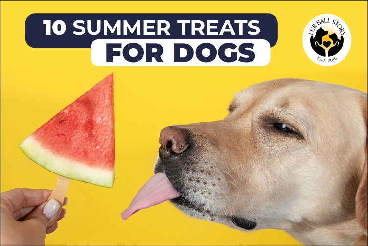 Summer Delights: 10 Easy Homemade Treats for Dogs