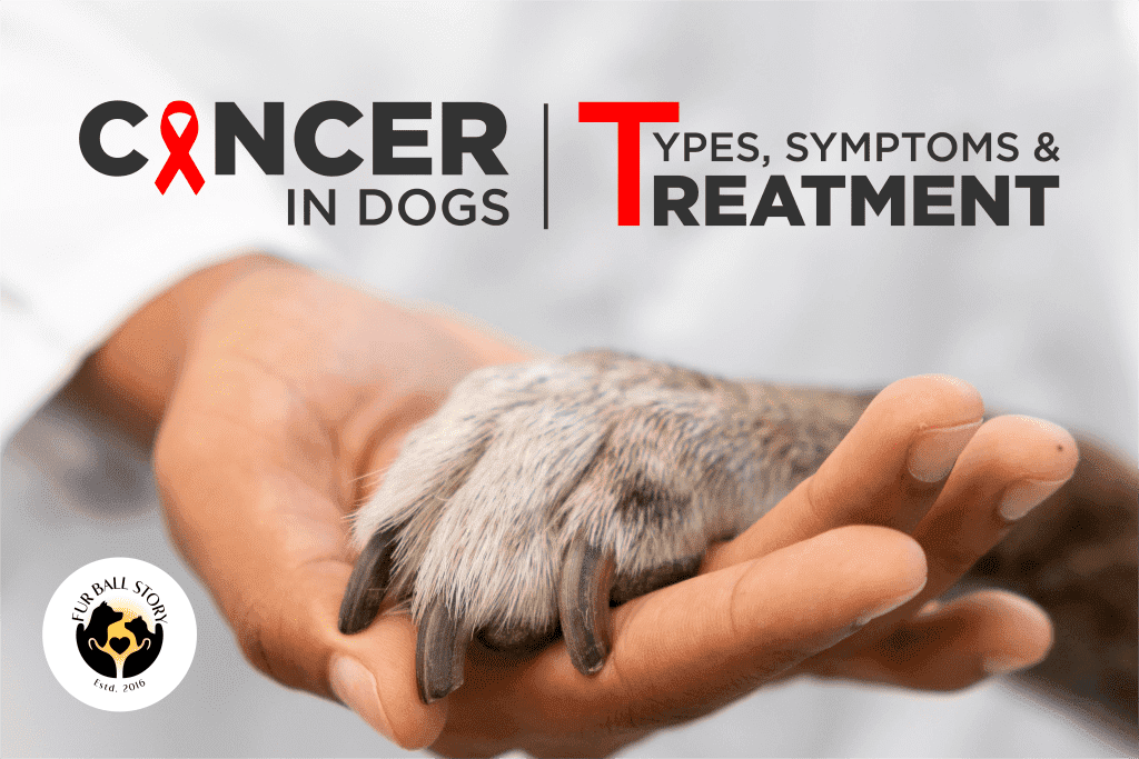Cancer in Dogs