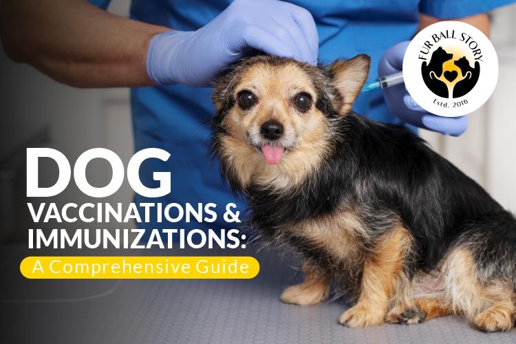 Vaccination of dogs
