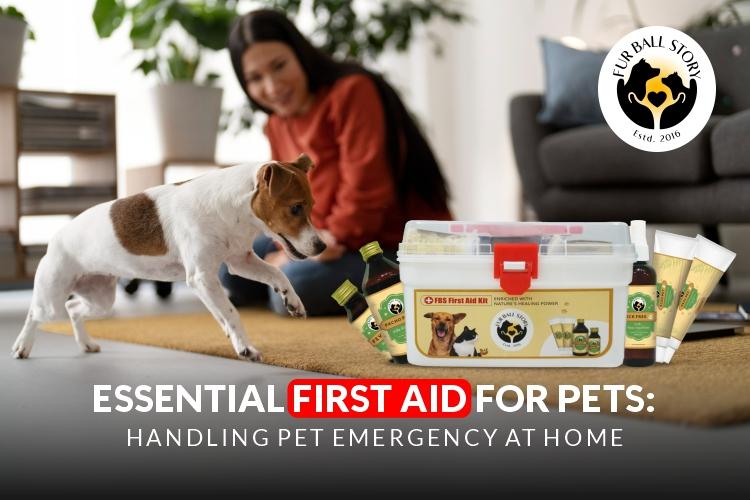 First Aid for pets