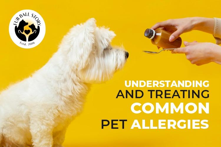 Common Pet Allergies