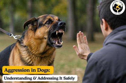 A dog displaying aggressive behavior while a pet parent uses calm, controlled handling techniques, illustrating safe management and understanding of canine aggression.
