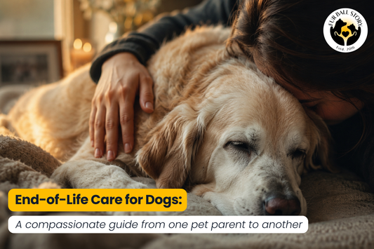 A loving pet parent comforting a senior dog in a peaceful, sunlit setting, symbolizing compassion, comfort, and end-of-life care.