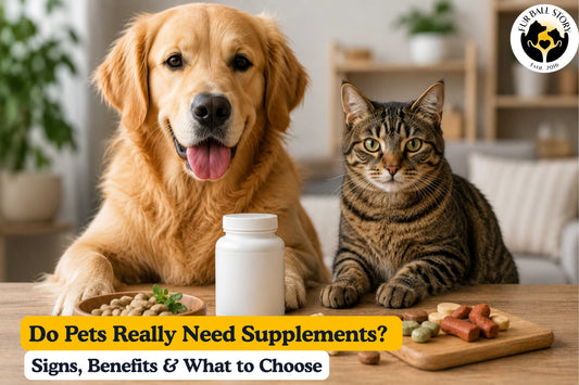 A dog and cat sitting beside pet supplements and treats, representing the role of nutritional support in maintaining pet health and wellness.