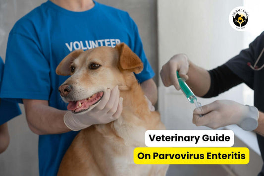 Veterinary Guide on Parvovirus