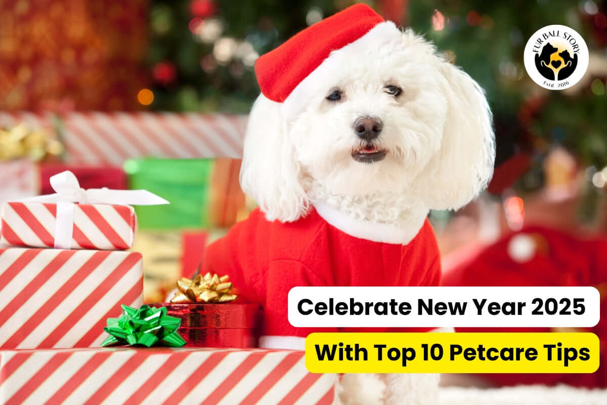 Top 10 Diwali Pet Care Tips