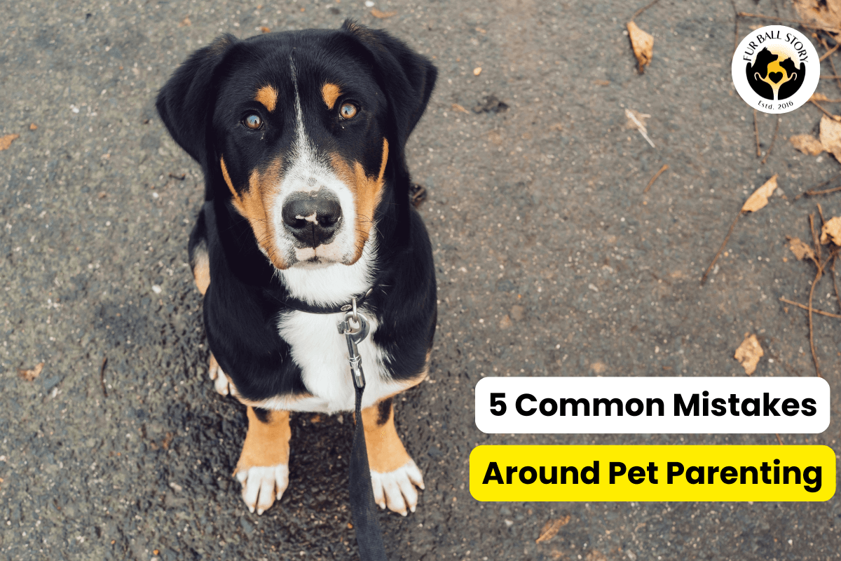 5 Common Myths Around Pet Parenting