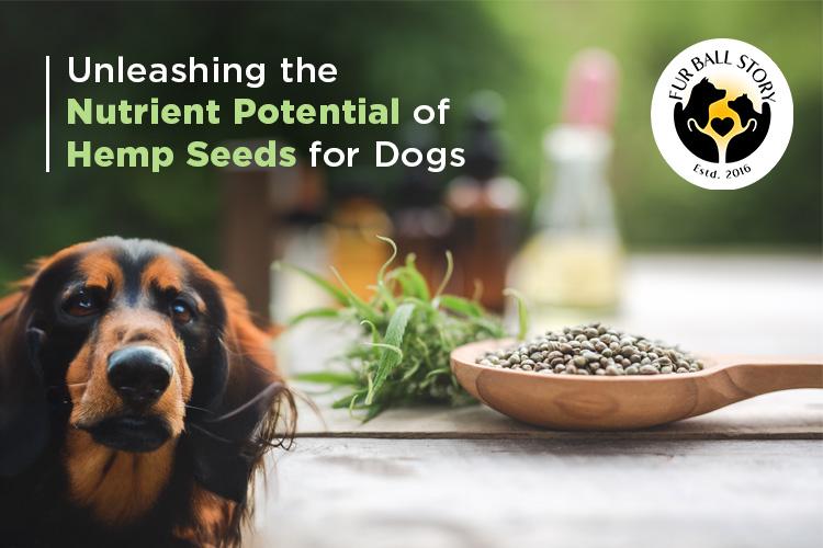 Hemp seeds for dogs