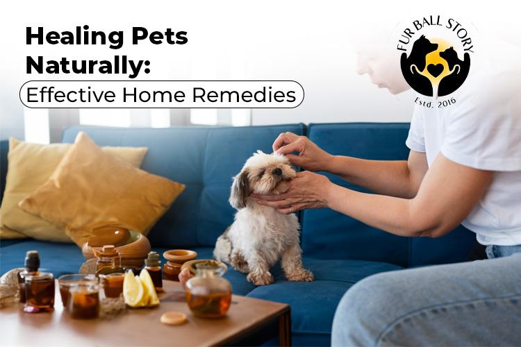Home remedies for Dogs