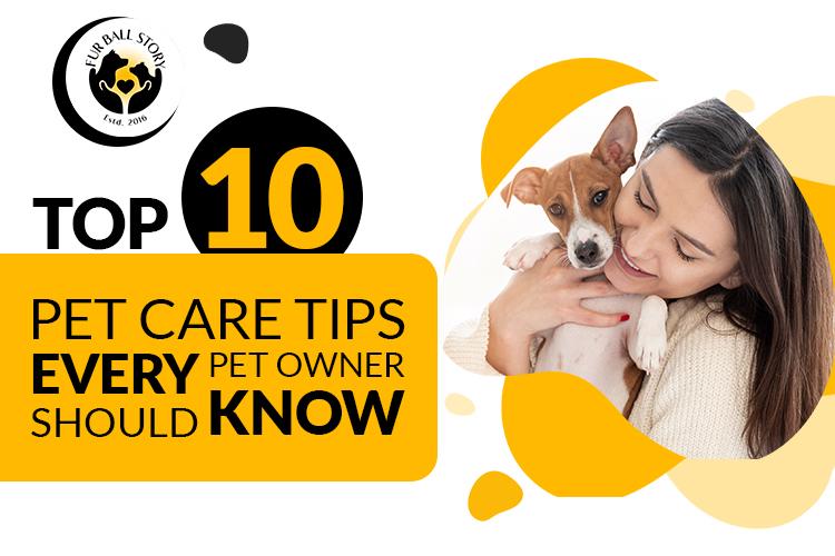 Pet care tips 